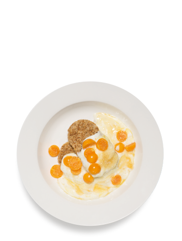 The Sweet Goose