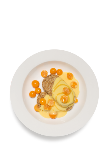 The Gldn Goose