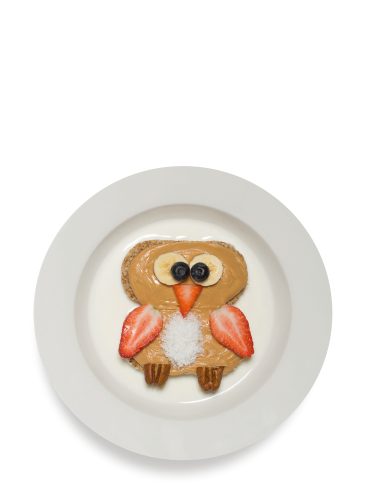 The Brown Owl