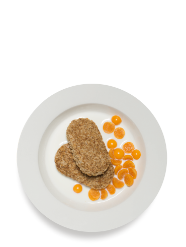 The Milky Goose