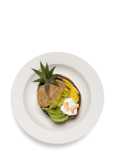 The Trop Yog