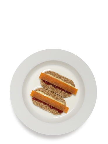 The Nutridog