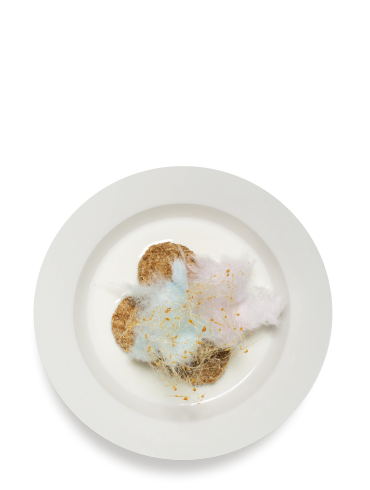 561 - The Candy Cloud
