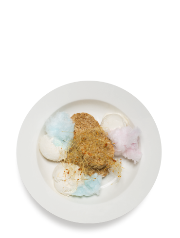 567 - The Sugar Fairy