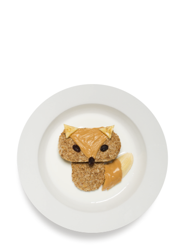 The Nutty Fox