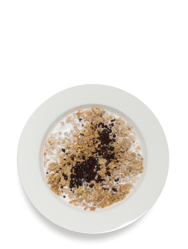 The Cand’d Cam