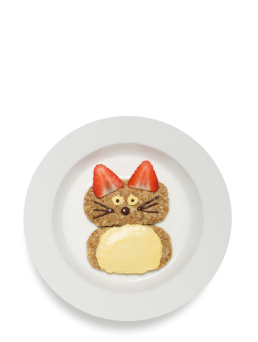 The Nutricats