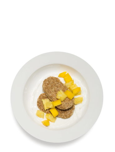 The PingoPango