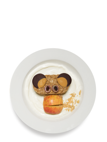 The Silly Monkey