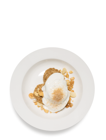 The Stardust 