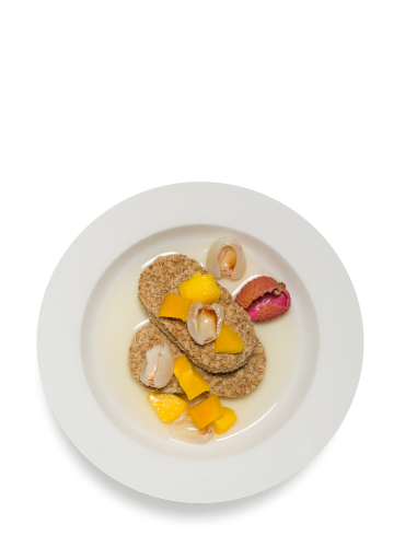 The Manli Jus