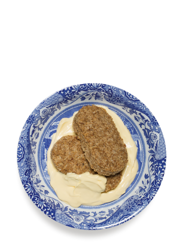 The Traveller